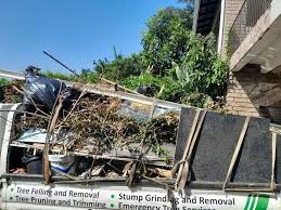 Best Attic Cleanout in Addison, IL